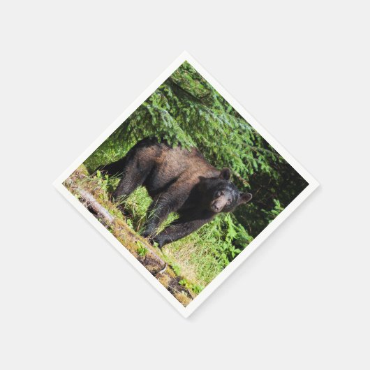 Serviette En Papier Ours noir Alpha (Coin)