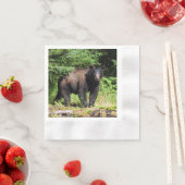 Serviette En Papier Ours noir Alpha (En situation)