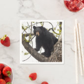 Serviette En Papier Ours noir Escalade (En situation)
