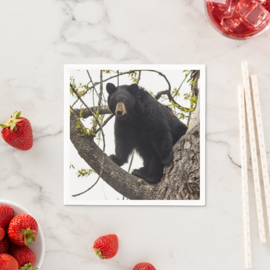 Serviette En Papier Ours noir Escalade (En situation)