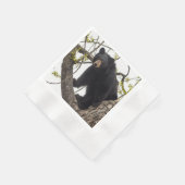Serviette En Papier Ours noir Escalade (Coin)