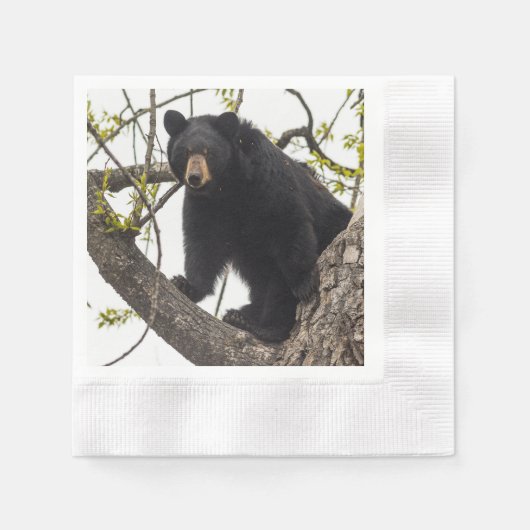 Serviette En Papier Ours noir Escalade (Devant)