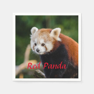 Serviette En Papier Ours Panda Rouge