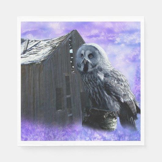 Serviette En Papier Owl Barn Shed (Devant)