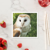 SERVIETTE EN PAPIER OWLS (En situation)