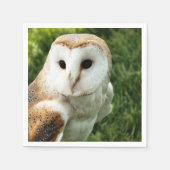SERVIETTE EN PAPIER OWLS (Devant)