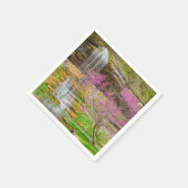Serviette En Papier Ozarks Waterfall Spring Bluff (Coin)