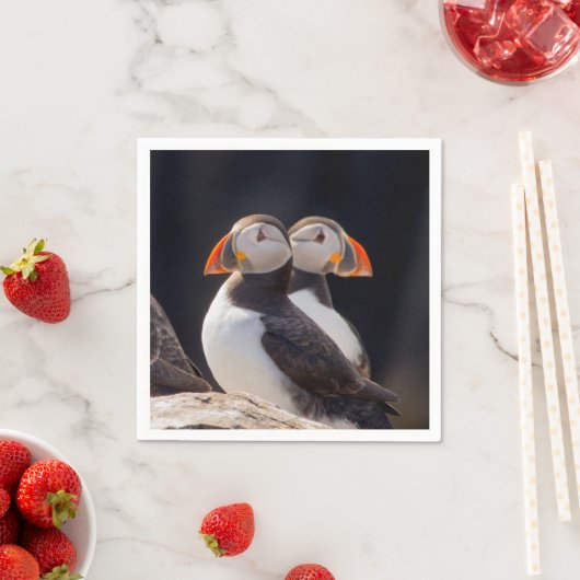 Serviette En Papier Pair de Tampins (En situation)