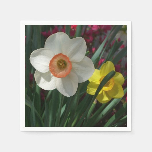 Serviette En Papier Pair of Daffodils Pink and Yellow Spring Flowers (Devant)