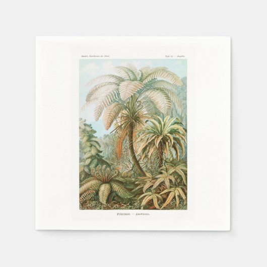 Serviette En Papier Palmier Ernst Haeckel (Devant)