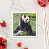 Serviette En Papier Panda géant assis sur une pierre (En situation)