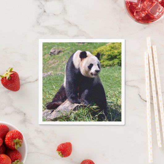 Serviette En Papier Panda géant assis sur une pierre (En situation)