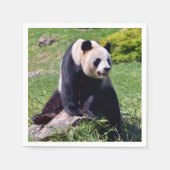 Serviette En Papier Panda géant assis sur une pierre (Devant)