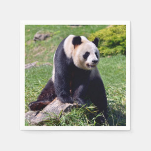 Serviette En Papier Panda géant assis sur une pierre