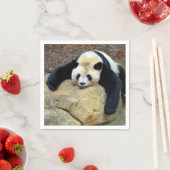Serviette En Papier Panda géant endormi claqué sur un rocher (En situation)