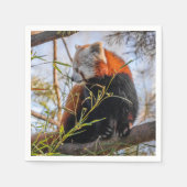 Serviette En Papier Panda rouge (Devant)
