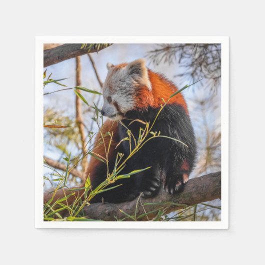 Serviette En Papier Panda rouge (Devant)