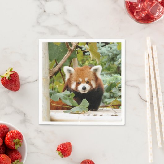 Serviette En Papier Panda rouge (En situation)