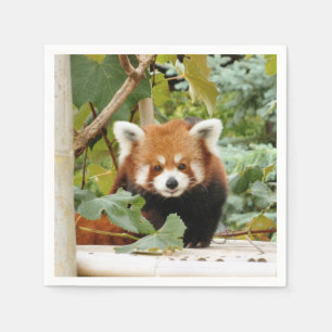 Serviette En Papier Panda rouge