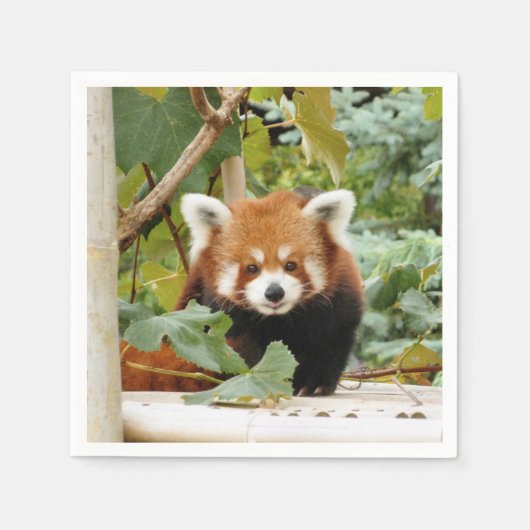 Serviette En Papier Panda rouge (Devant)