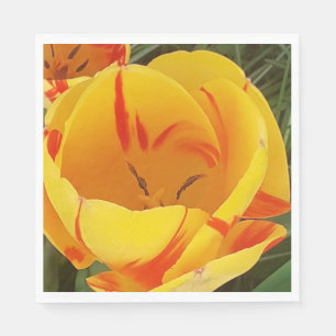 Serviette En Papier Paniers en papier tulipe de printemps