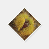 Serviette En Papier Paper Napkins (Coin)