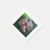 Serviette En Papier Papier (Coin)