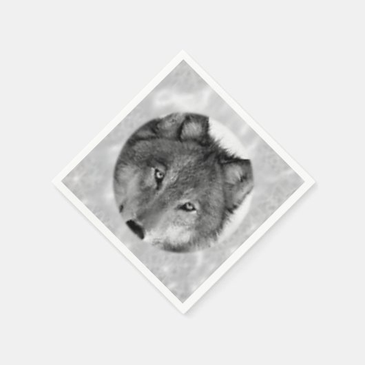 Serviette En Papier Papier (Coin)