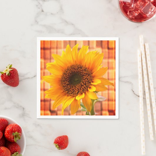 Serviette En Papier Papier (En situation)