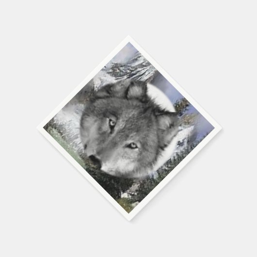 Serviette En Papier Papier (Coin)