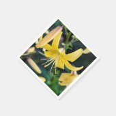 Serviette En Papier Papier (Coin)