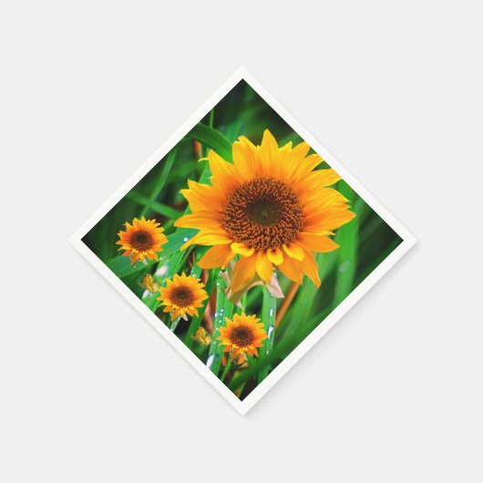 Serviette En Papier Papier (Coin)