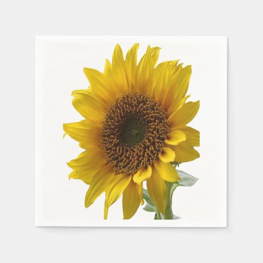 Serviette En Papier Papier (Devant)