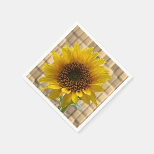 Serviette En Papier Papier (Coin)