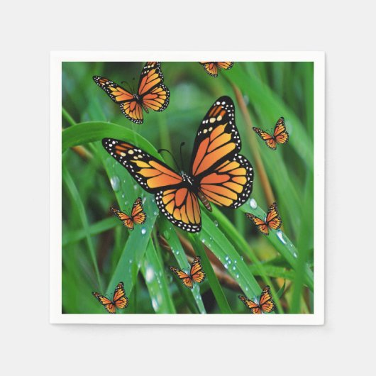 Serviette En Papier Papier (Devant)