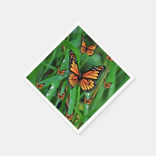 Serviette En Papier Papier (Coin)