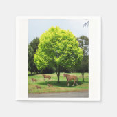 Serviette En Papier Papier (Devant)