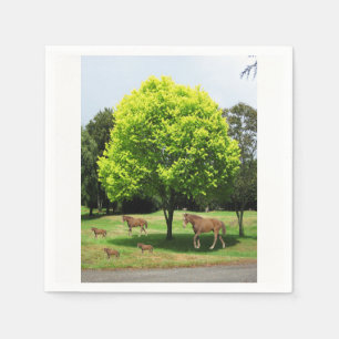 Serviette En Papier Papier