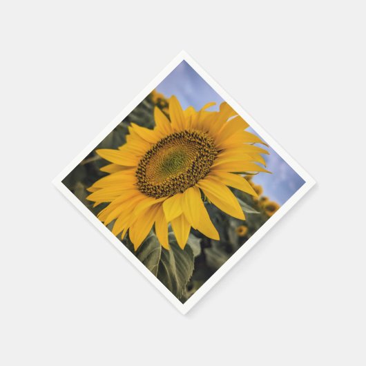 Serviette En Papier Papier (Coin)