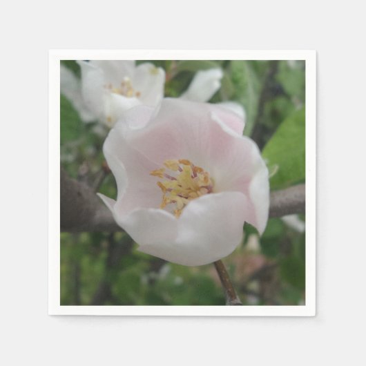 Serviette En Papier Papier à cocktail de pureté serviettes (Devant)