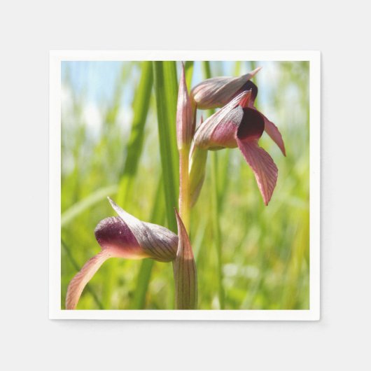 Serviette En Papier Papier à orchidée Tongue (Devant)