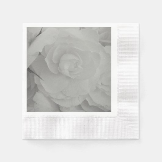 Serviette En Papier Papier blanc Begonia (Devant)