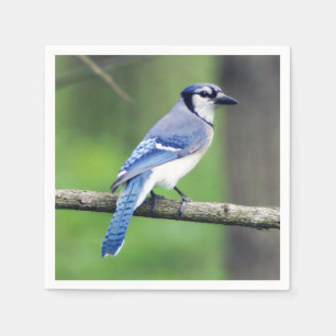 Serviette En Papier Papier bleu Jay Napkin