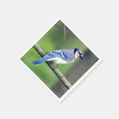 Serviette En Papier Papier bleu Jay Napkin (Coin)