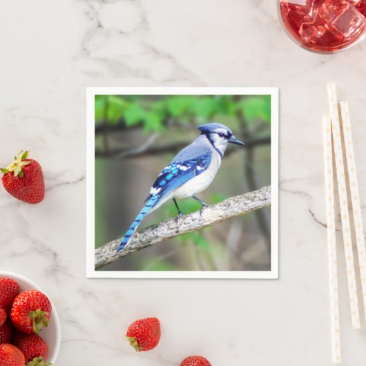 Serviette En Papier Papier bleu Jay Napkin (En situation)