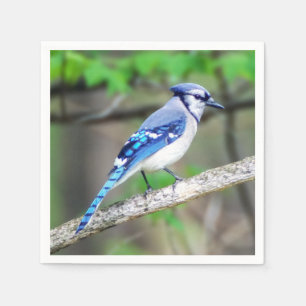 Serviette En Papier Papier bleu Jay Napkin
