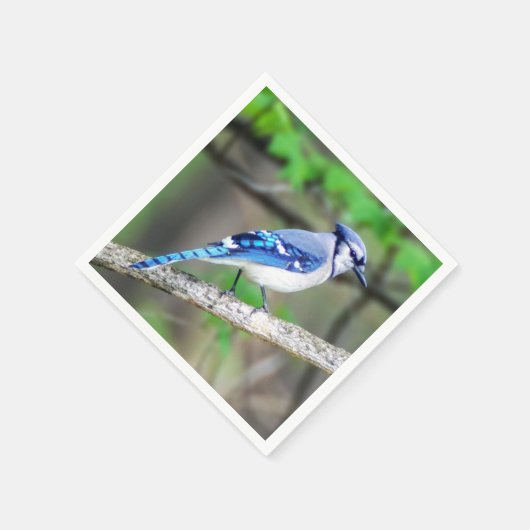 Serviette En Papier Papier bleu Jay Napkin (Coin)