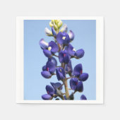 Serviette En Papier Papier Bluebonnet Texas (Devant)
