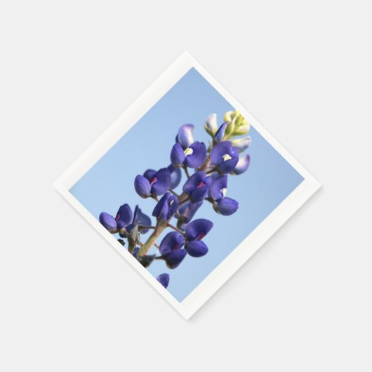 Serviette En Papier Papier Bluebonnet Texas (Coin)