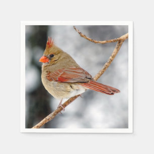 Serviette En Papier Papier cardinal du nord féminin Napkin